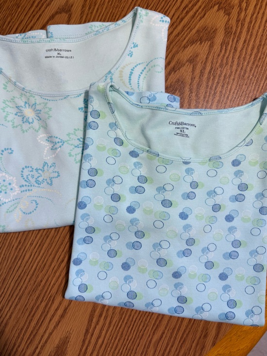 Chaus and Liz & Co Tops - 2 Pack - Croft & Barrow -Like New-100% Pima Cotton Short Sleeve Tees, Light Blue